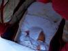 Resize of 100_1133.JPG